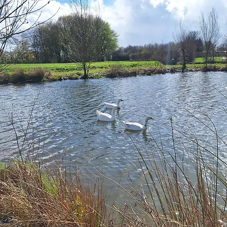 Kade10buren Buren (Gelderland)