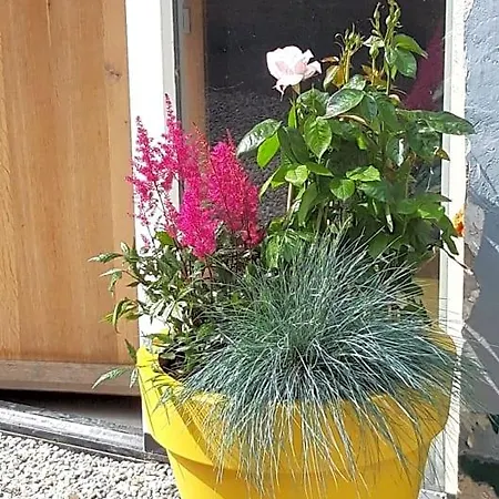 Bed & Breakfast Kade10buren 3*