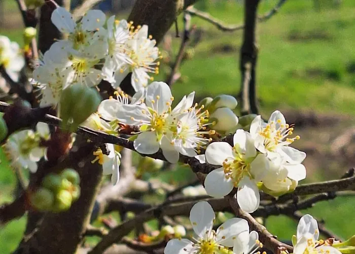 Bed & Breakfast Kade10buren